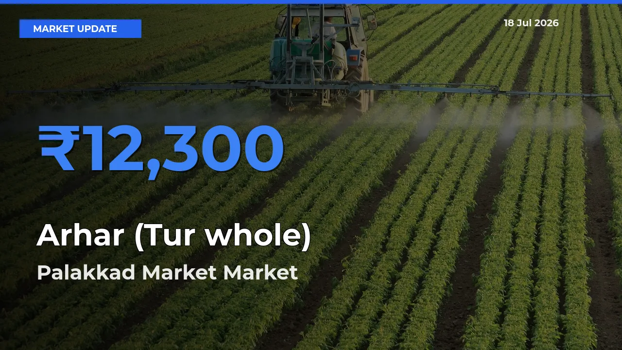 Palakkad Market Emerges as Top Mandi for Arhar (Tur whole) Prices Today