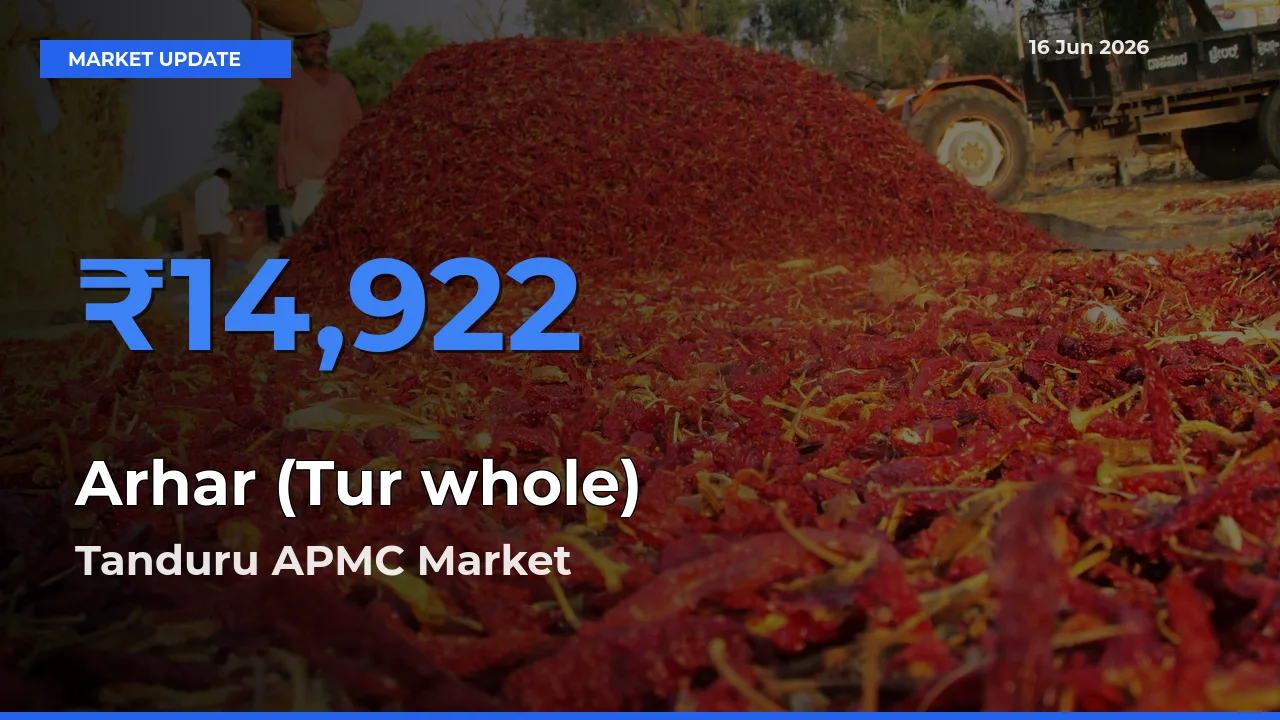 Arhar (Tur whole) Mandi Rate Today: Tanduru APMC Tops the List