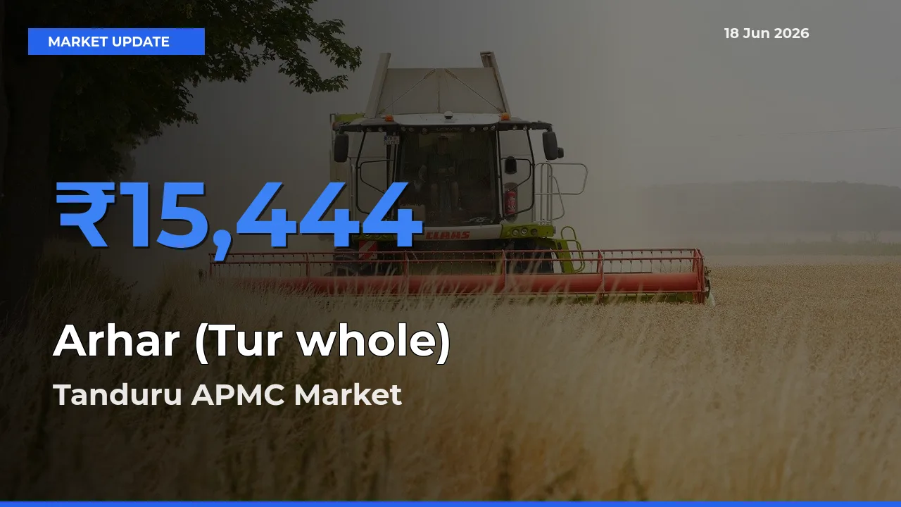 Tanduru APMC Records Highest ₹15,444 Rate for Arhar (Tur whole)