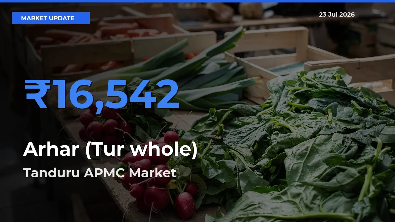 Tanduru APMC Leads as Top Mandi for Arhar (Tur whole) Prices