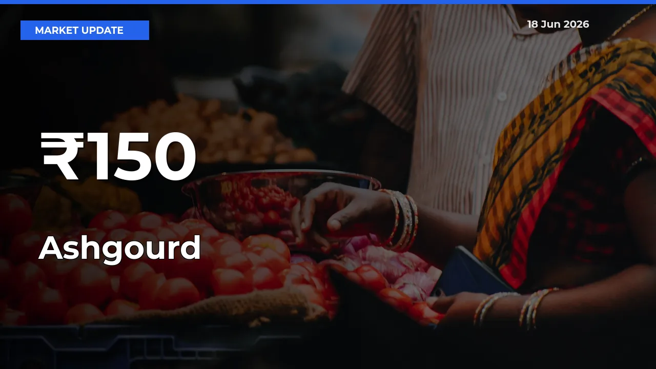 Strong Trend in Ashgourd Rates Across Multiple Mandis – What It Means for Traders