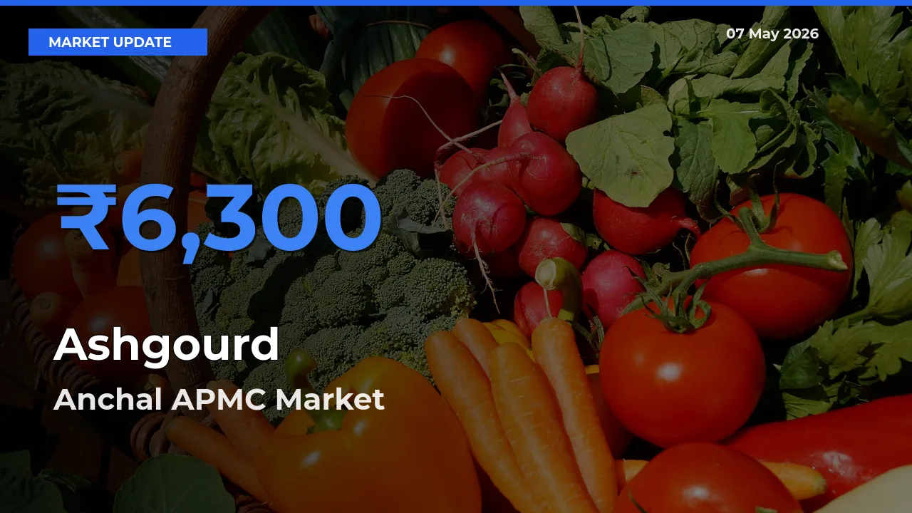 Anchal APMC Emerges as Top Mandi for Ashgourd Prices Today