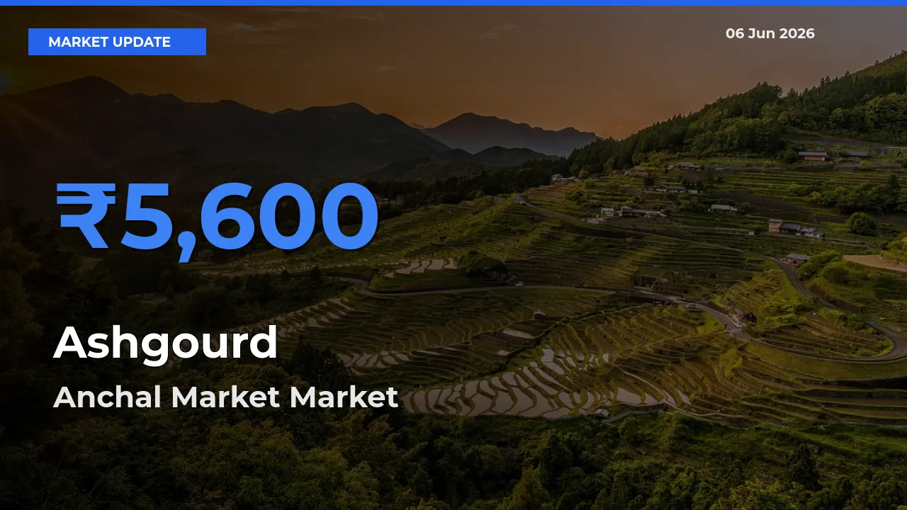 Ashgourd Mandi Rate Today: Anchal Market Tops the List