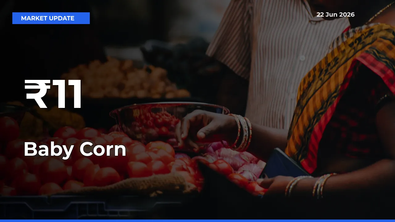 Baby Corn Mandi Trend Today: Prices Shift Across Multiple Markets