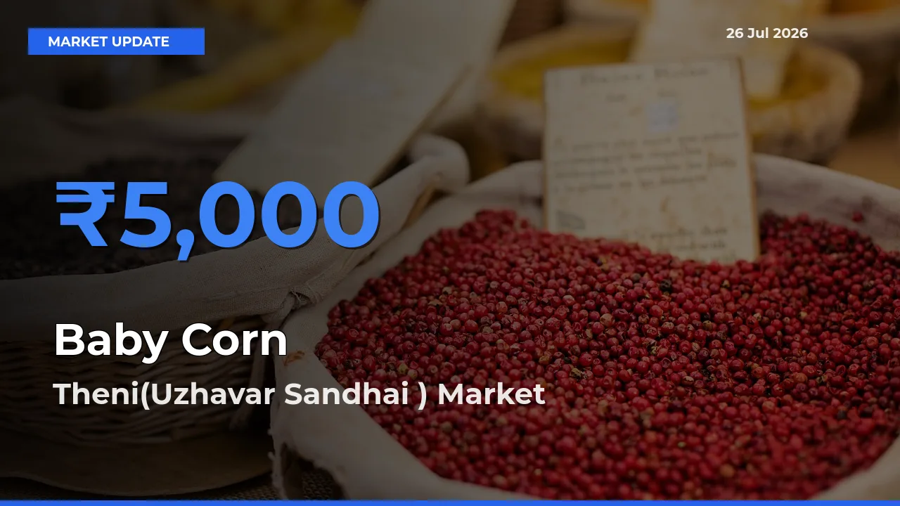 Theni(Uzhavar Sandhai ) Tops Baby Corn Mandi Rates Today