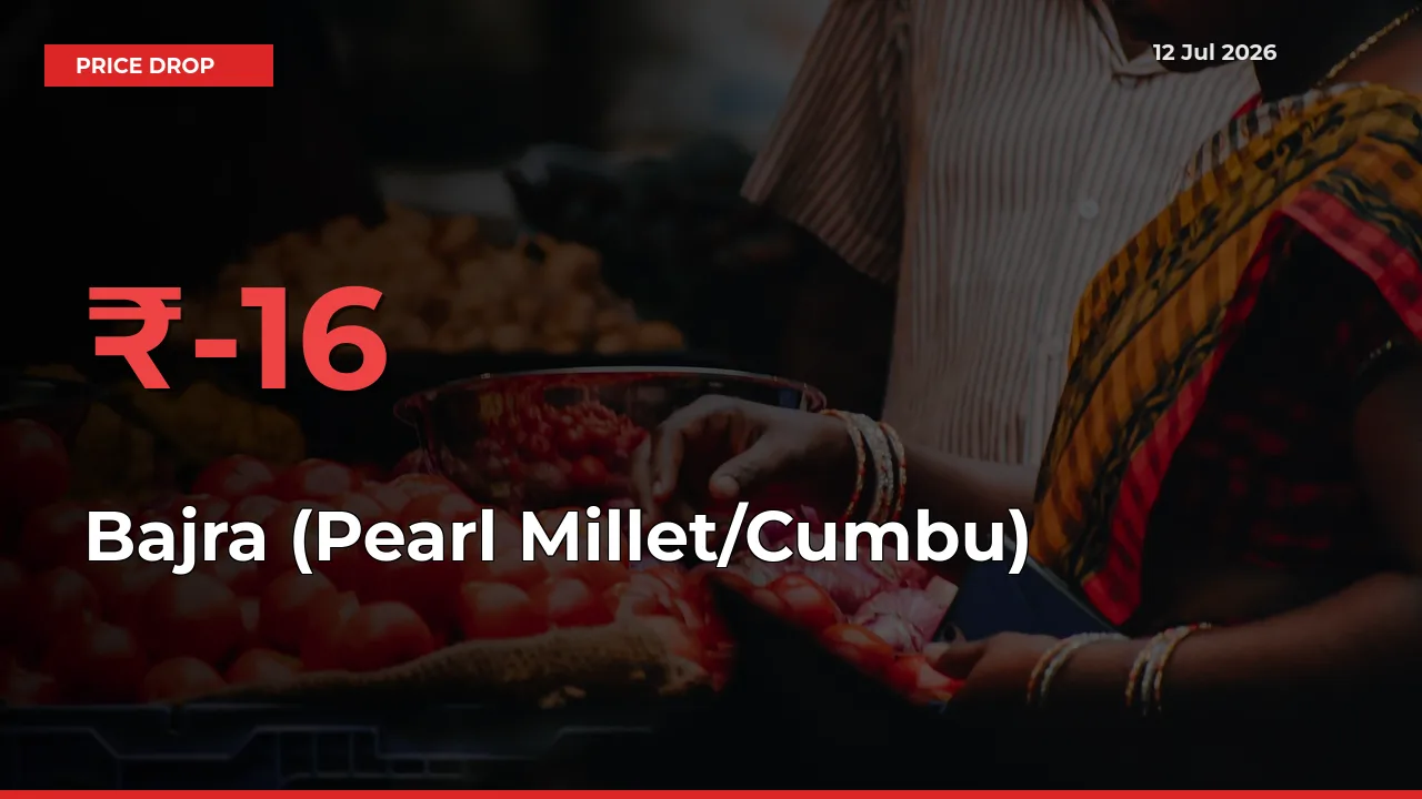Bajra (Pearl Millet/Cumbu) Prices Drop 16.02% – July 12 Market Update from Mandis