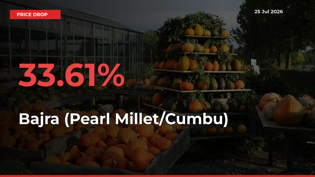 Bajra (Pearl Millet/Cumbu) Falls 33.61% at Mandis