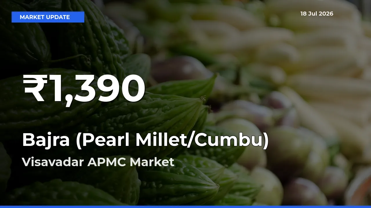 Bajra (Pearl Millet/Cumbu) Hits 30-Day Low in Visavadar APMC