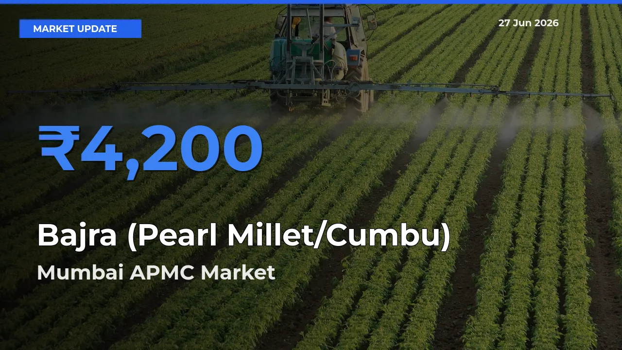 Top Performer! Mumbai APMC Offers Best Bajra (Pearl Millet/Cumbu) Price Today
