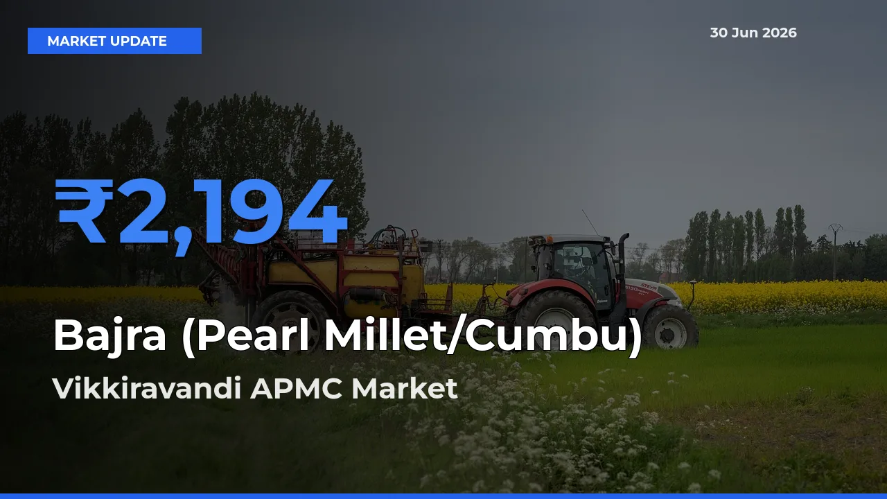 Vikkiravandi APMC Tops Bajra (Pearl Millet/Cumbu) Mandi Rates Today