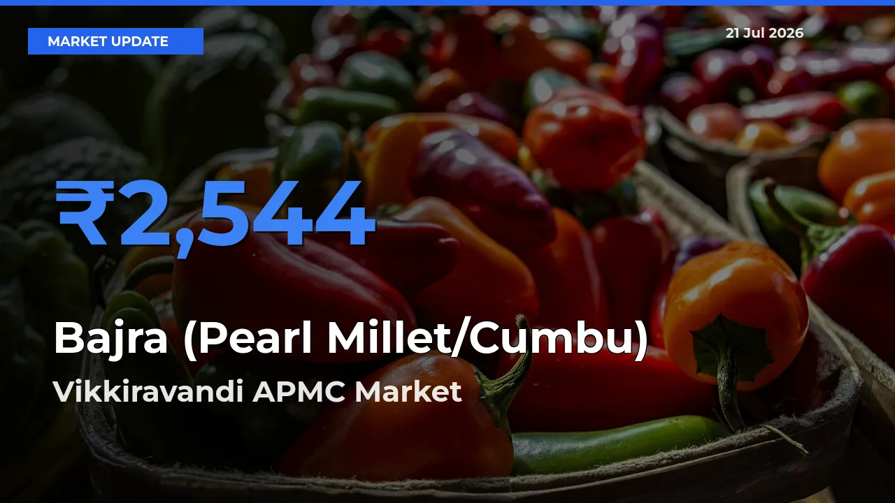 Vikkiravandi APMC Tops Bajra (Pearl Millet/Cumbu) Rates – July 21 Market Update