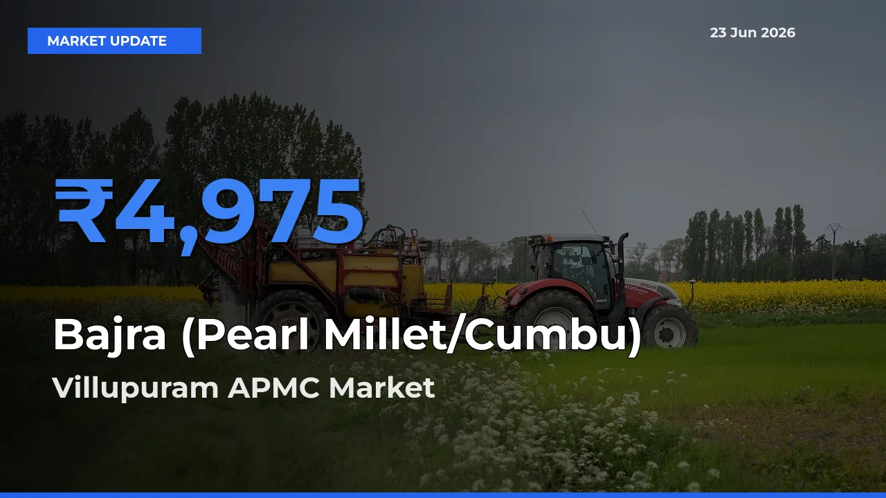 Villupuram APMC Emerges as Top Mandi for Bajra (Pearl Millet/Cumbu) Prices Today