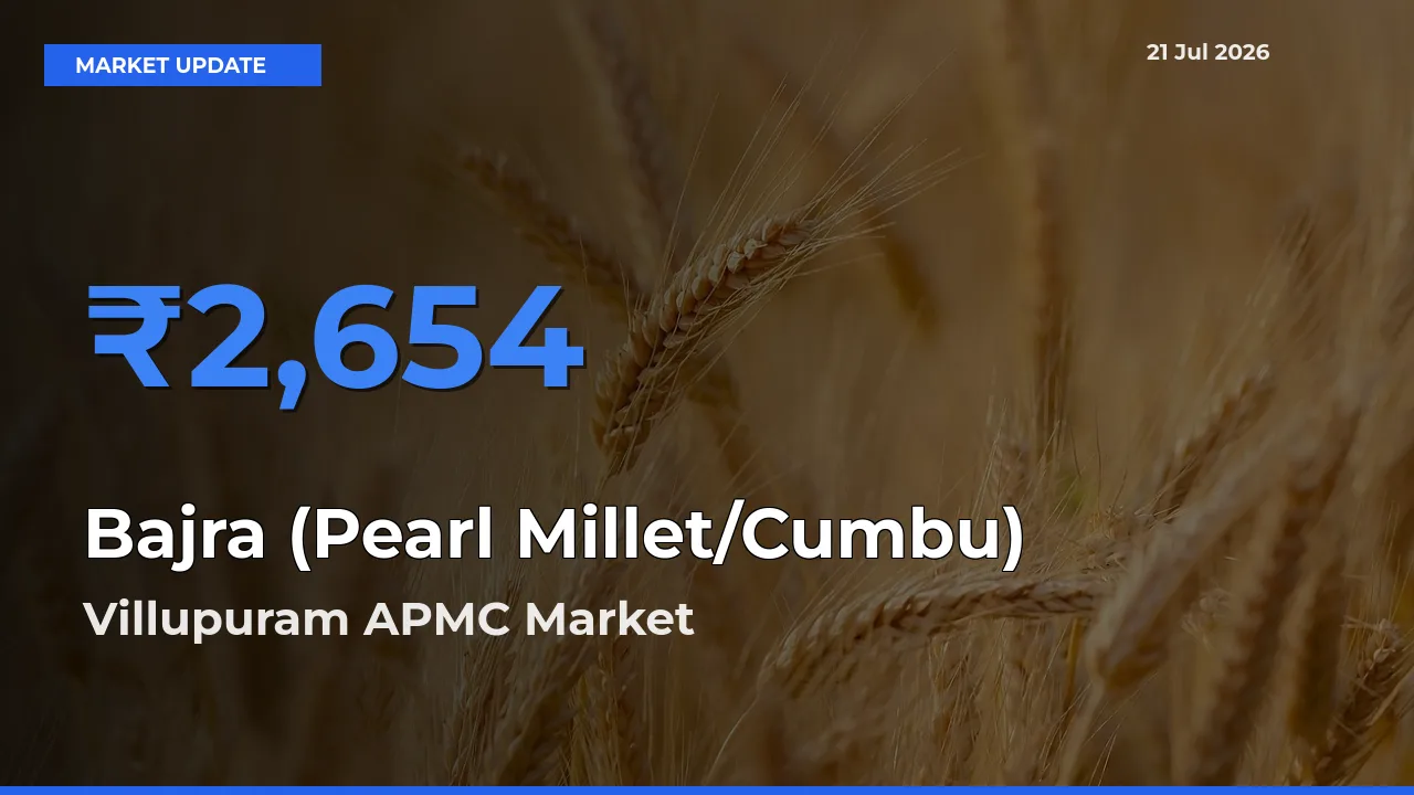 Villupuram APMC Emerges as Top Mandi for Bajra (Pearl Millet/Cumbu) Prices Today