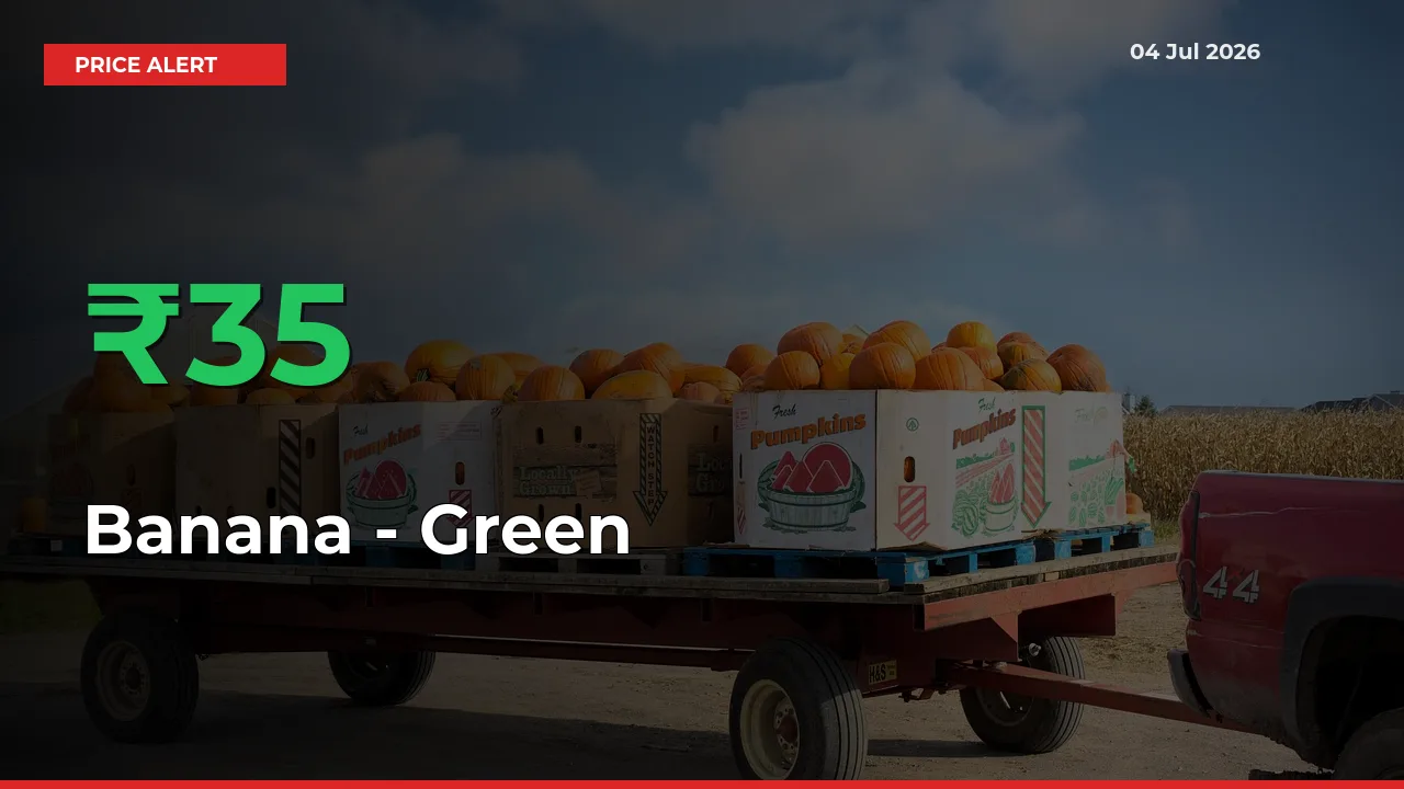 Farmers Cheer as Banana - Green Prices Surge 34.53% in Local Mandis