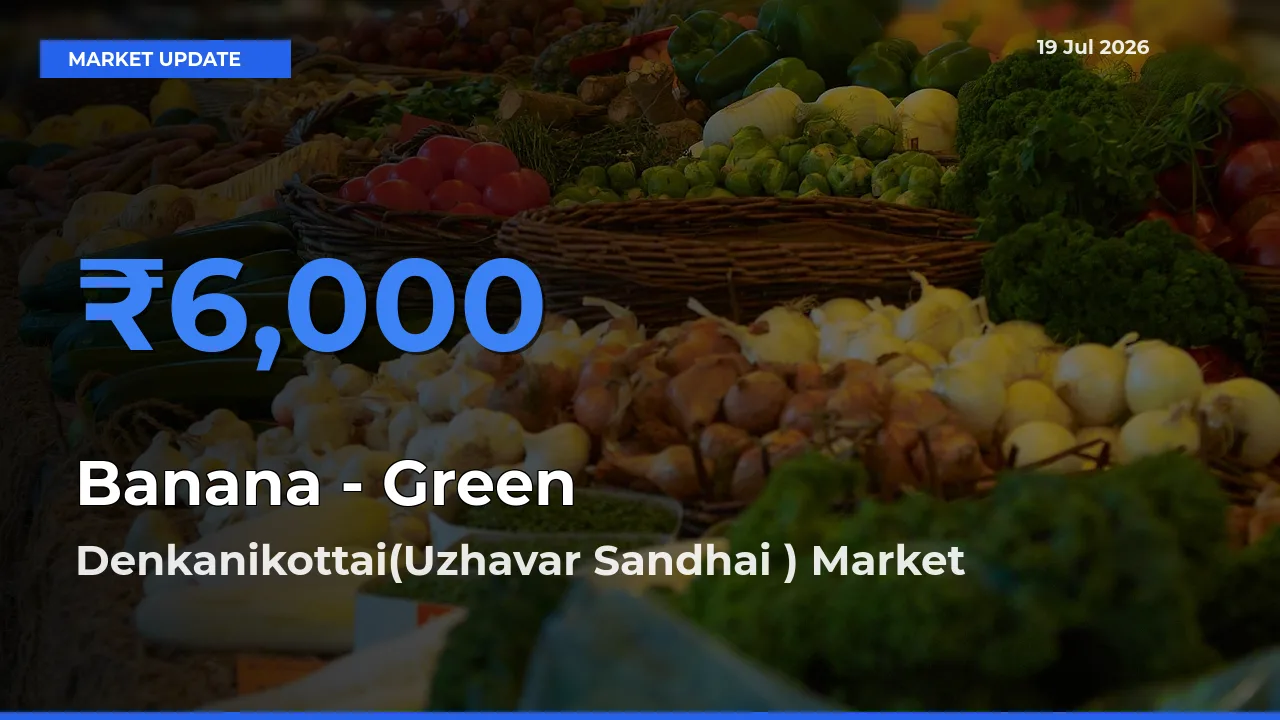 Denkanikottai(Uzhavar Sandhai ) Tops Banana - Green Mandi Rates Today