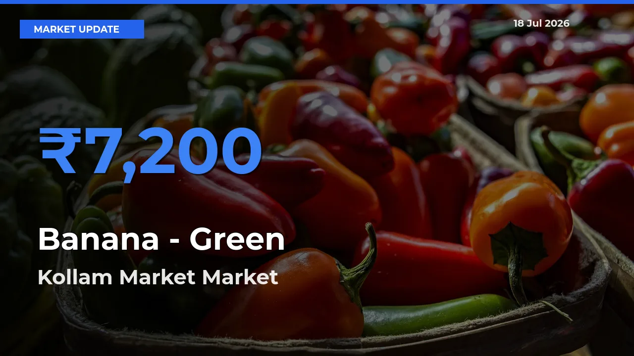 Top Performer! Kollam Market Offers Best Banana - Green Price Today