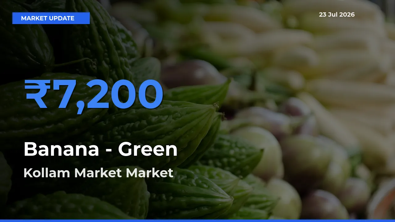 Kollam Market Emerges as Top Mandi for Banana - Green Prices Today