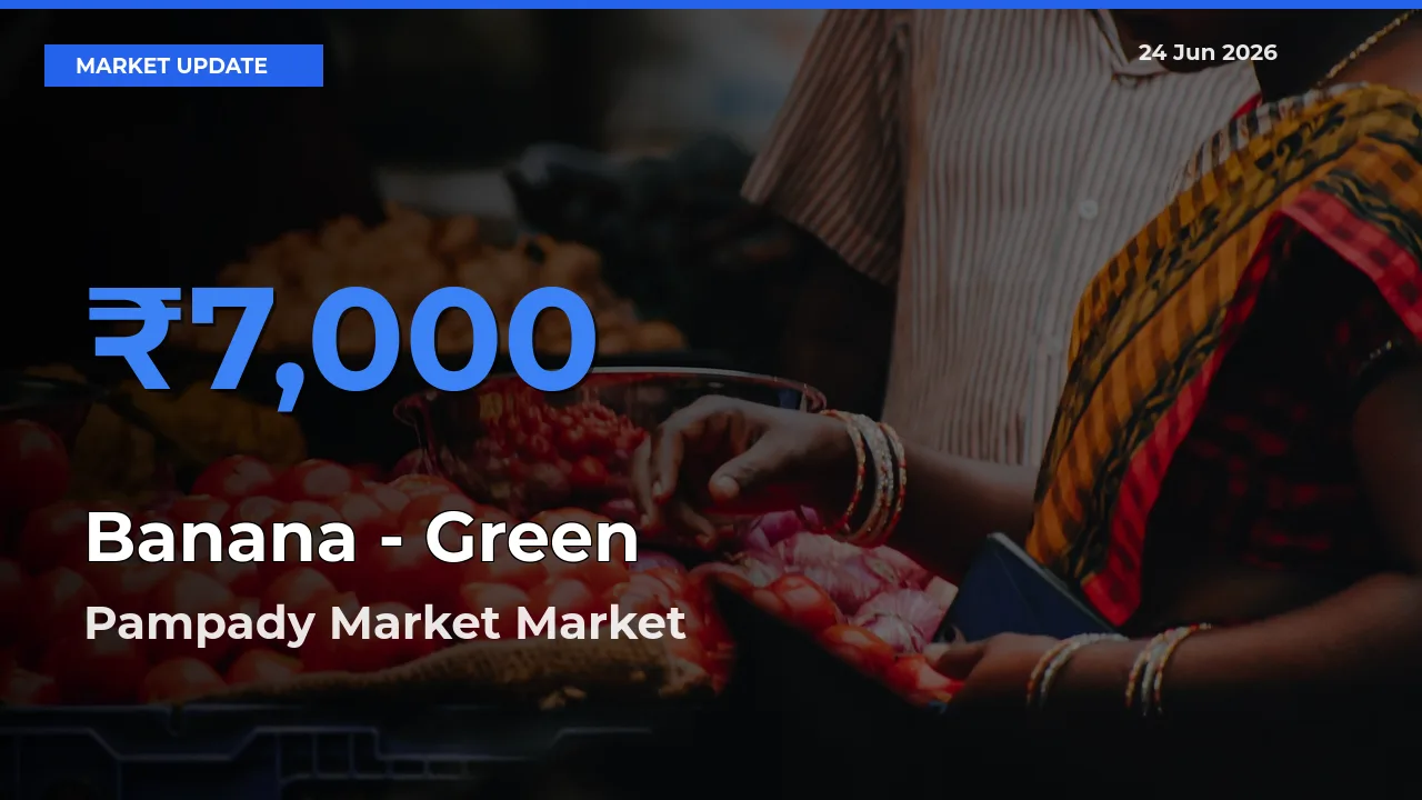 Pampady Market Offers ₹7,000 – Highest Banana - Green Rate Today