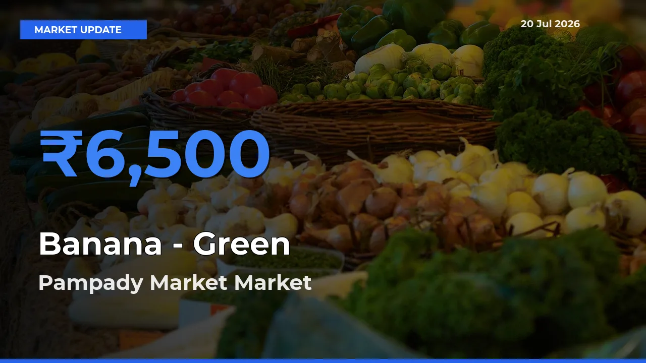 Pampady Market Leads as Top Mandi for Banana - Green Prices