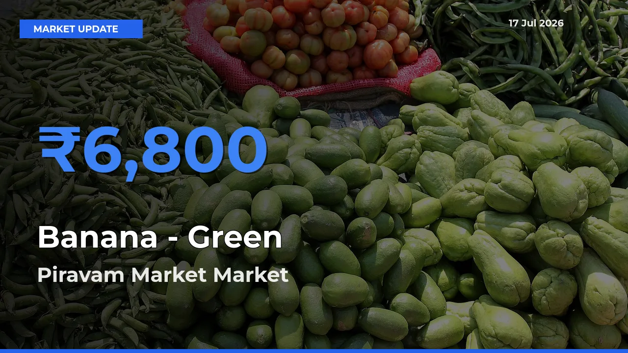 Market Watch: Piravam Market Becomes Top Mandi for Banana - Green