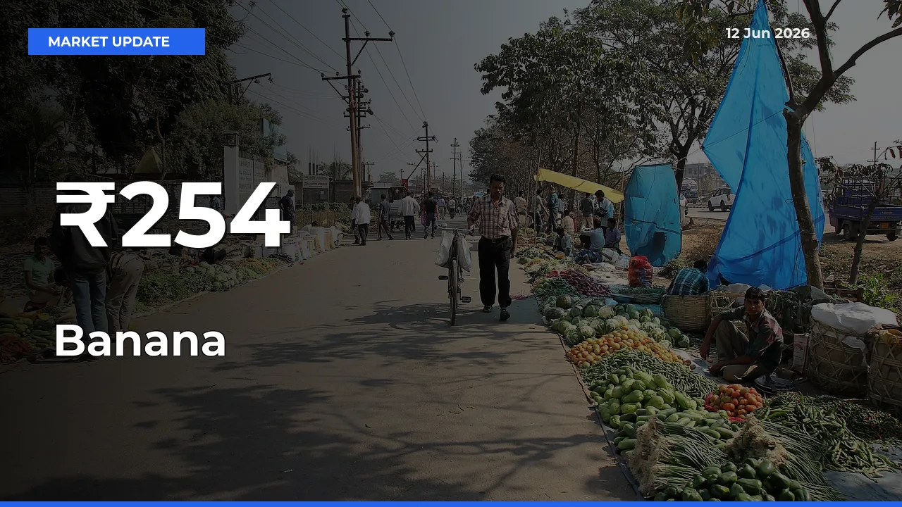 Banana Mandi Trend Today: Prices Shift Across Multiple Markets