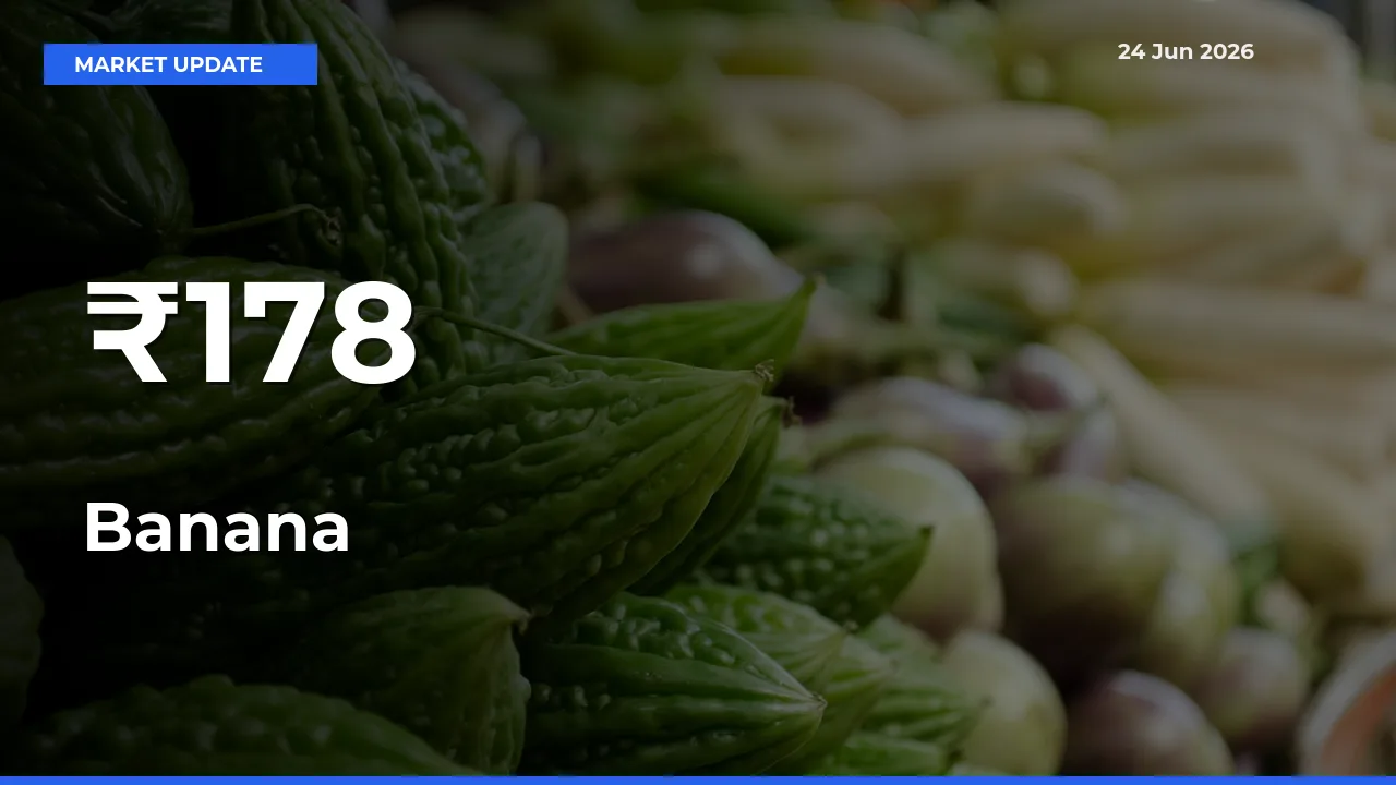 Banana Prices Trend Across 178+ Mandis – Market Direction Turns Clear