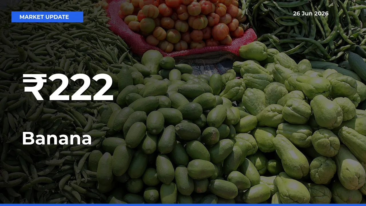 Multi-Mandi Trend Emerges as Banana Prices Shift Across Key Markets