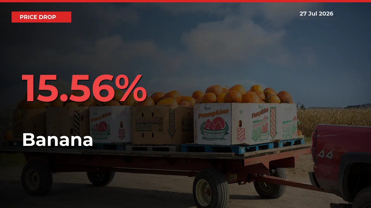 15.56% Drop in Banana Prices – Mandi Sees Sudden Fall