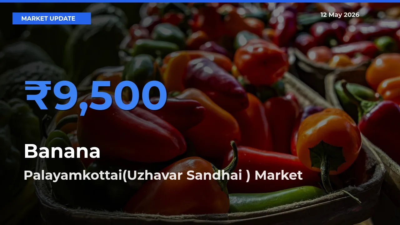 Market Watch: Palayamkottai(Uzhavar Sandhai ) Becomes Top Mandi for Banana