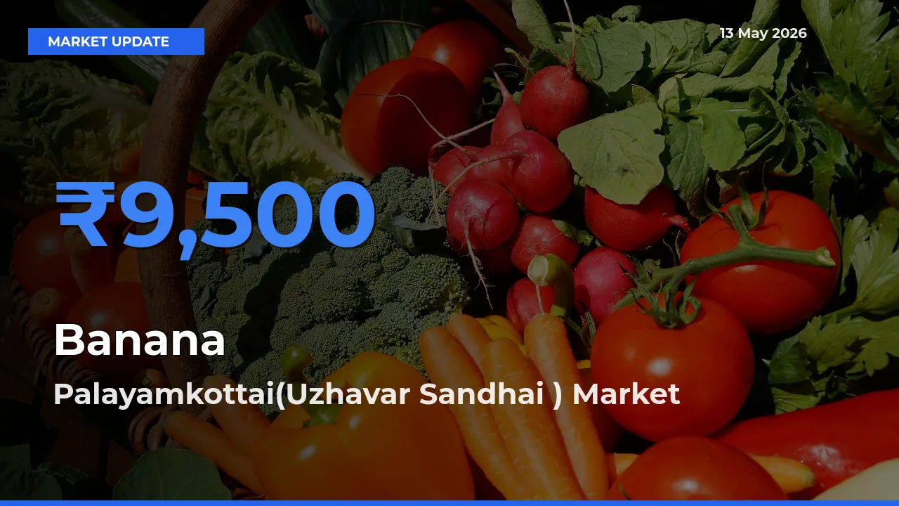 Farmers Prefer Palayamkottai(Uzhavar Sandhai ) as Banana Hits Highest Rate