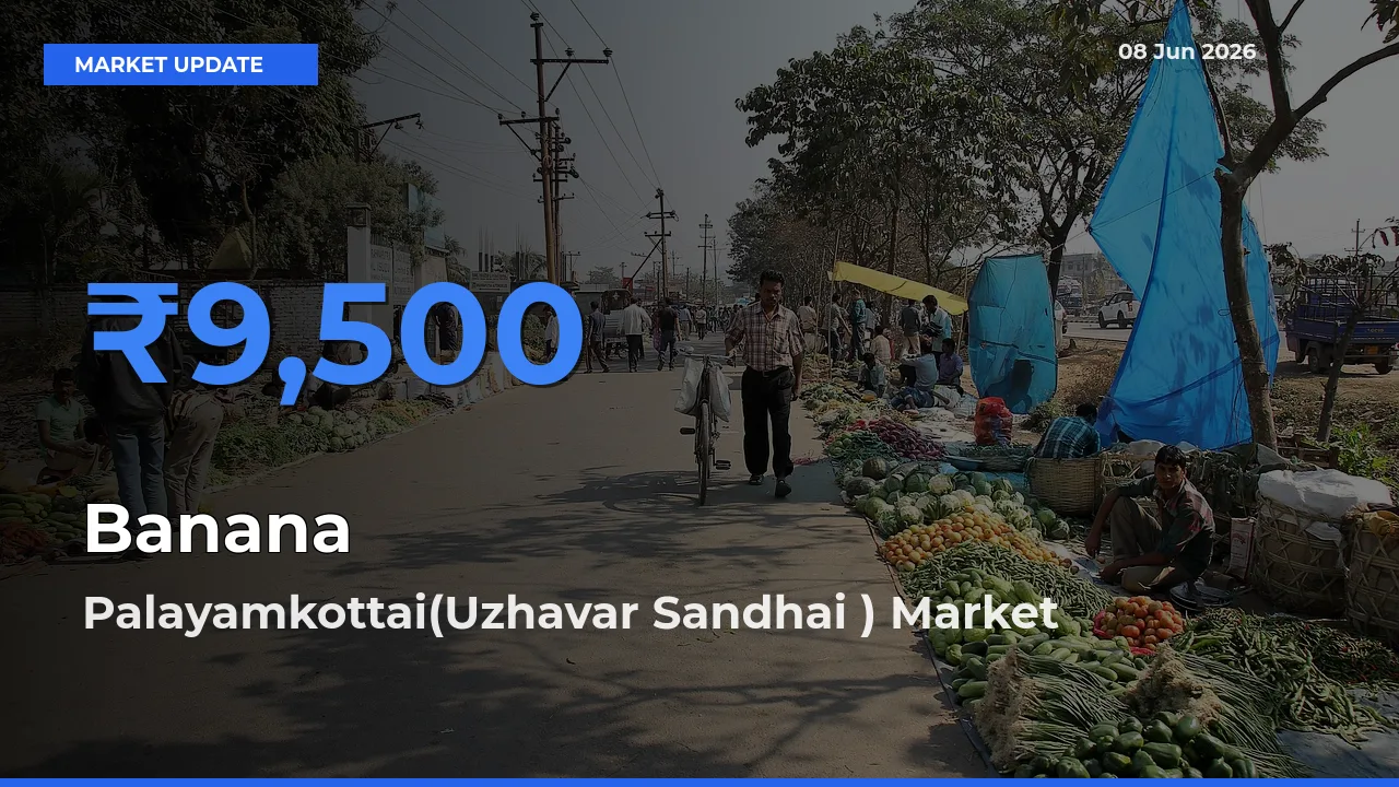 Palayamkottai(Uzhavar Sandhai ) Offers ₹9,500 – Highest Banana Rate Today
