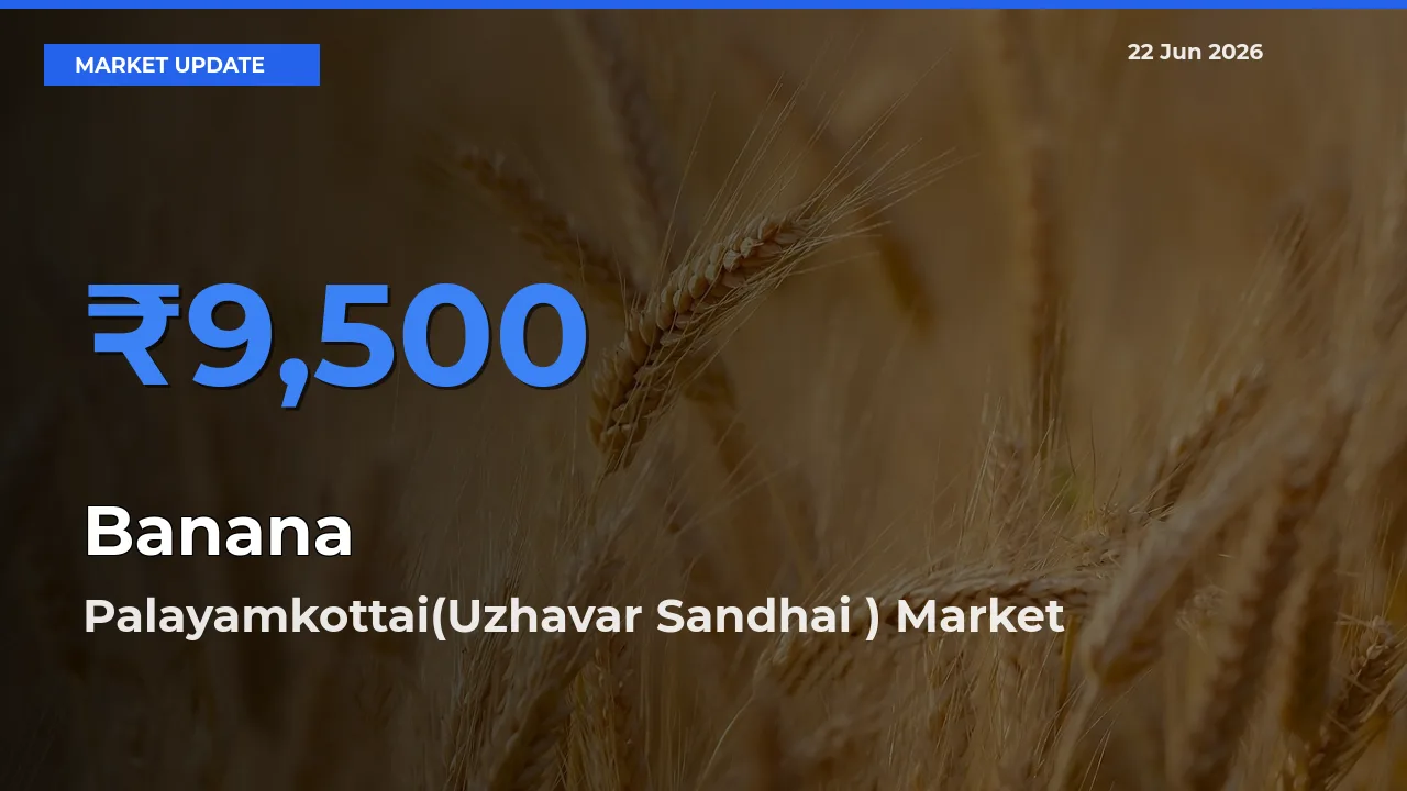 Palayamkottai(Uzhavar Sandhai ) Leads as Top Mandi for Banana Prices