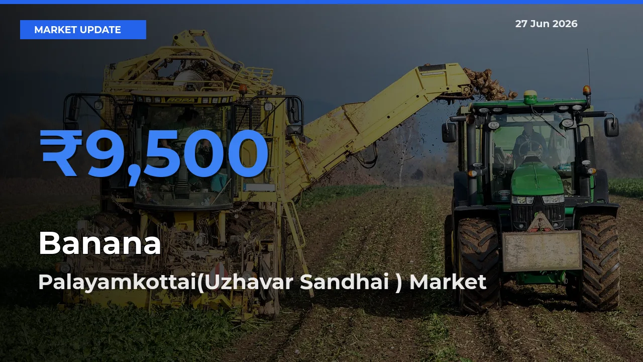 Palayamkottai(Uzhavar Sandhai ) Leads as Top Mandi for Banana Prices