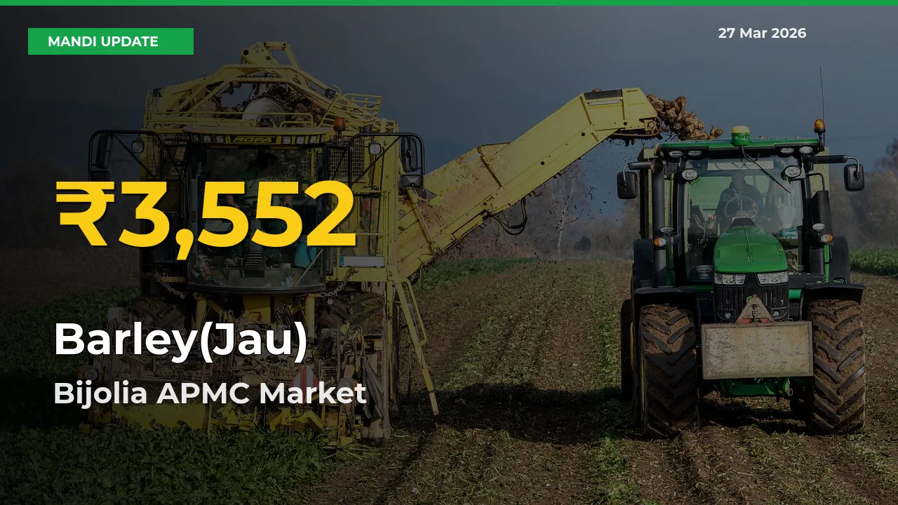 Bijolia APMC Leads as Barley(Jau) Hits Highest Rate – March 27 Update