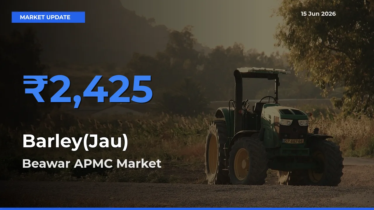 Farmers Prefer Beawar APMC as Barley(Jau) Hits Highest Rate