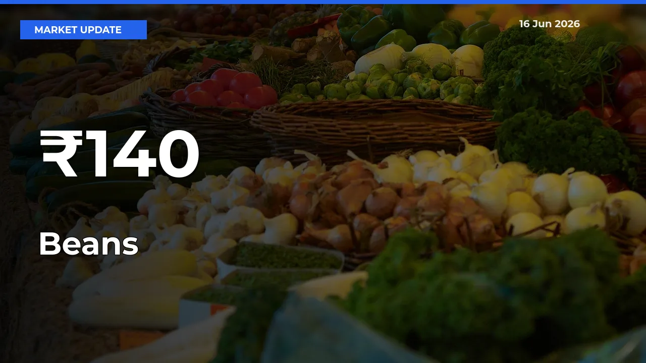 Beans Rates Show Broad Movement Across 140+ Mandis