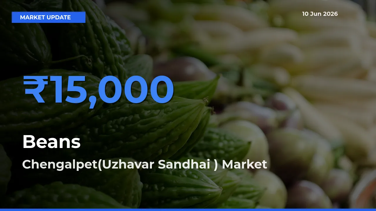 Chengalpet(Uzhavar Sandhai ) Records Highest ₹15,000 Rate for Beans