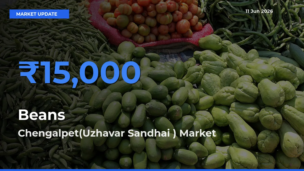 Chengalpet(Uzhavar Sandhai ) Tops Beans Rates – June 11 Market Update