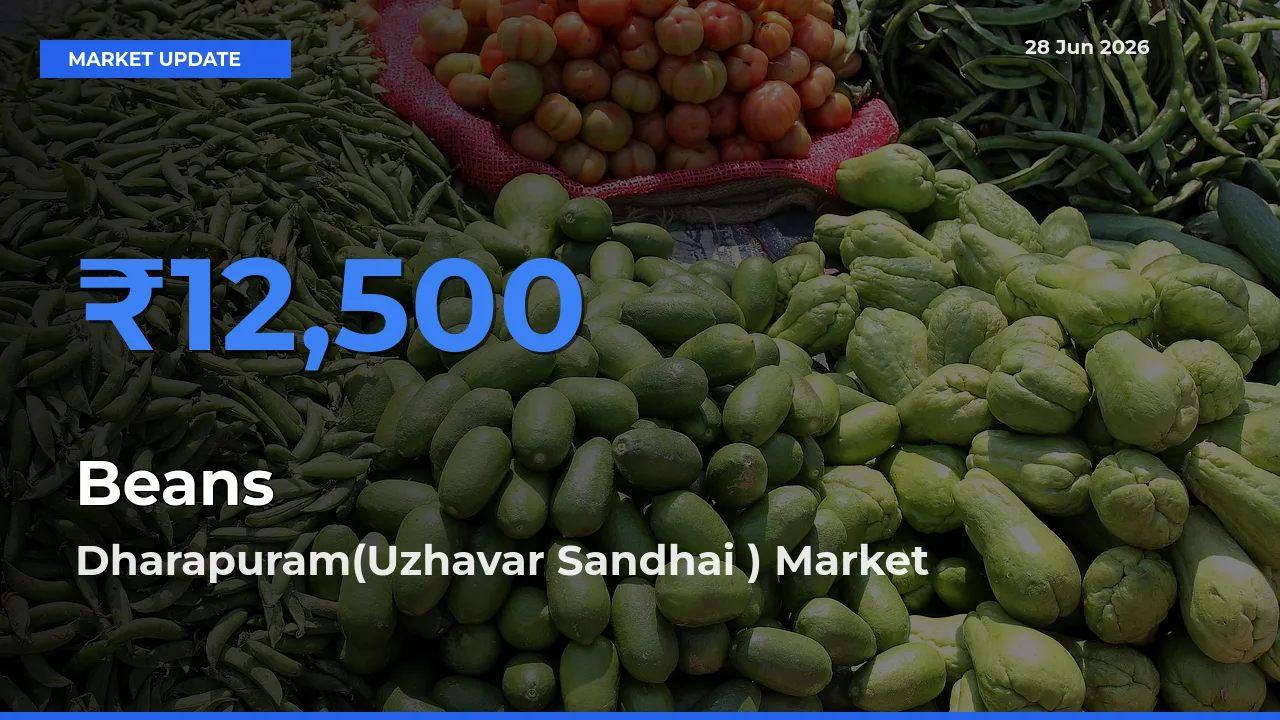 Beans Mandi Rate Today: Dharapuram(Uzhavar Sandhai ) Tops the List