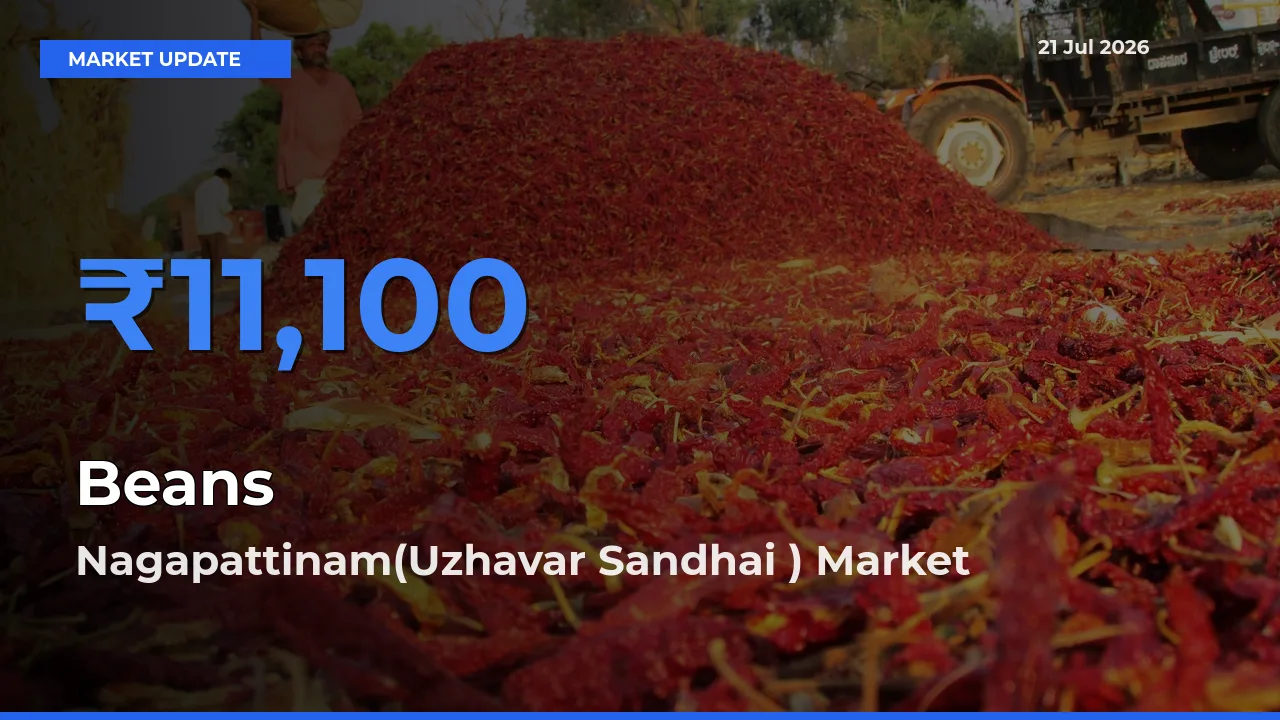 Nagapattinam(Uzhavar Sandhai ) Leads as Top Mandi for Beans Prices