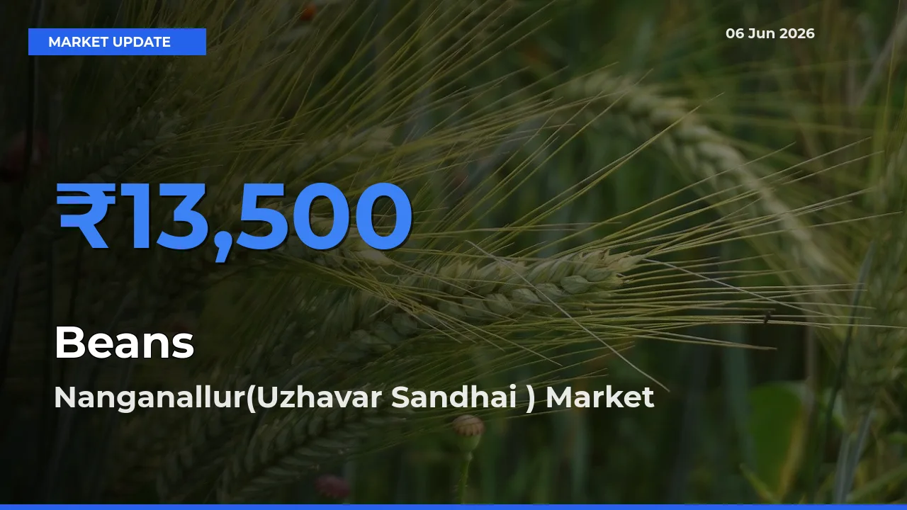 Market Watch: Nanganallur(Uzhavar Sandhai ) Becomes Top Mandi for Beans