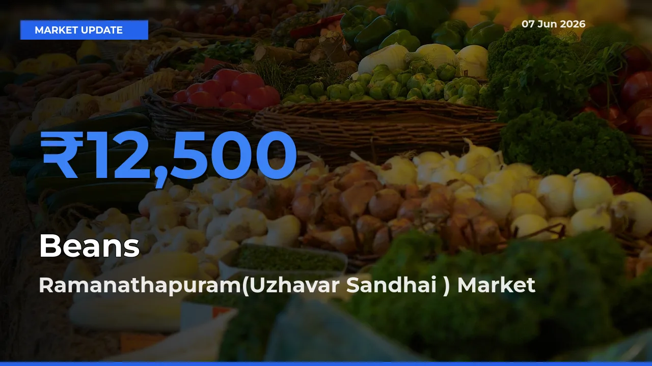 Ramanathapuram(Uzhavar Sandhai ) Offers ₹12,500 – Highest Beans Rate Today