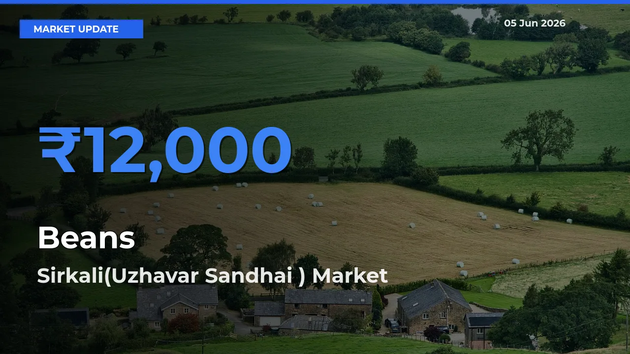 Sirkali(Uzhavar Sandhai ) Tops Beans Rates – June 05 Market Update