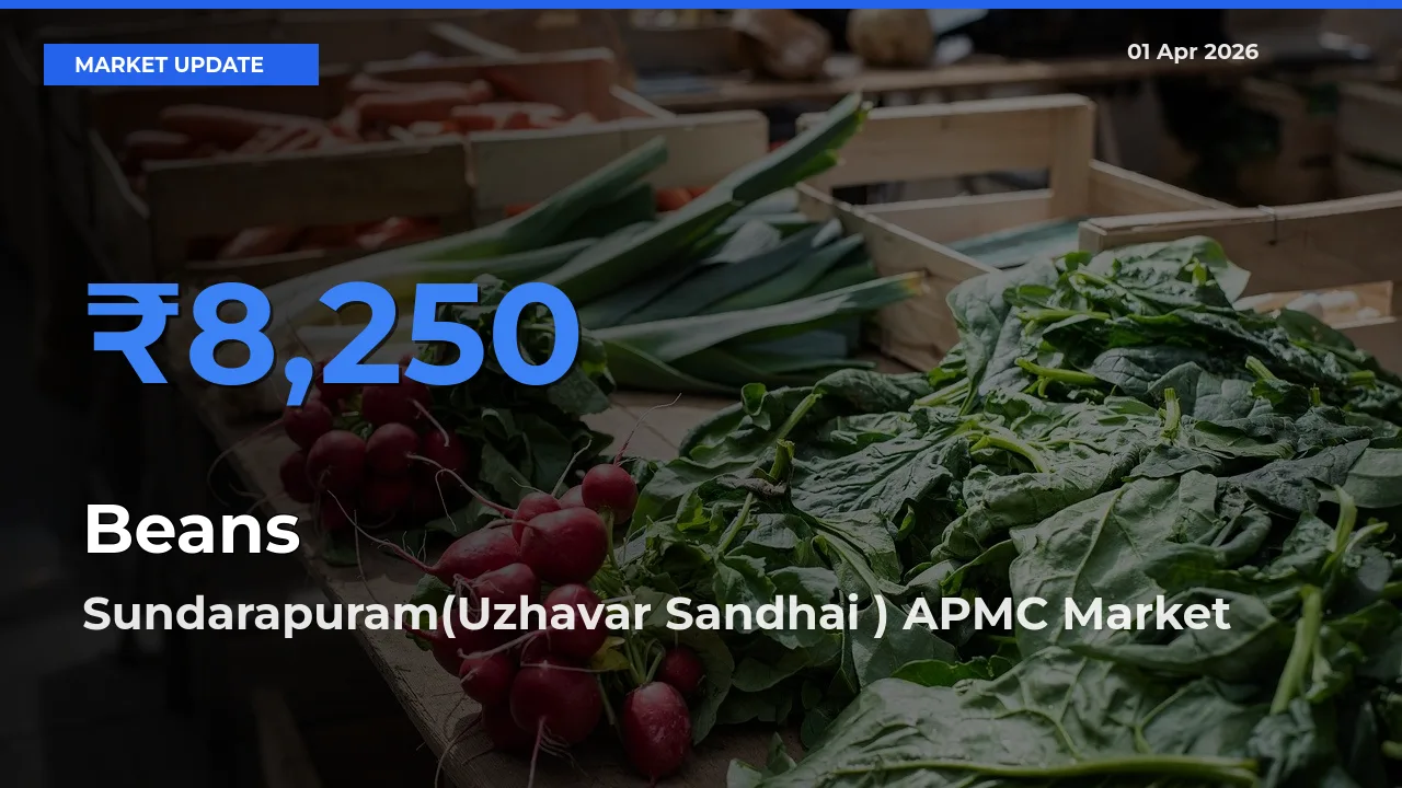 Market Watch: Sundarapuram(Uzhavar Sandhai ) APMC Becomes Top Mandi for Beans