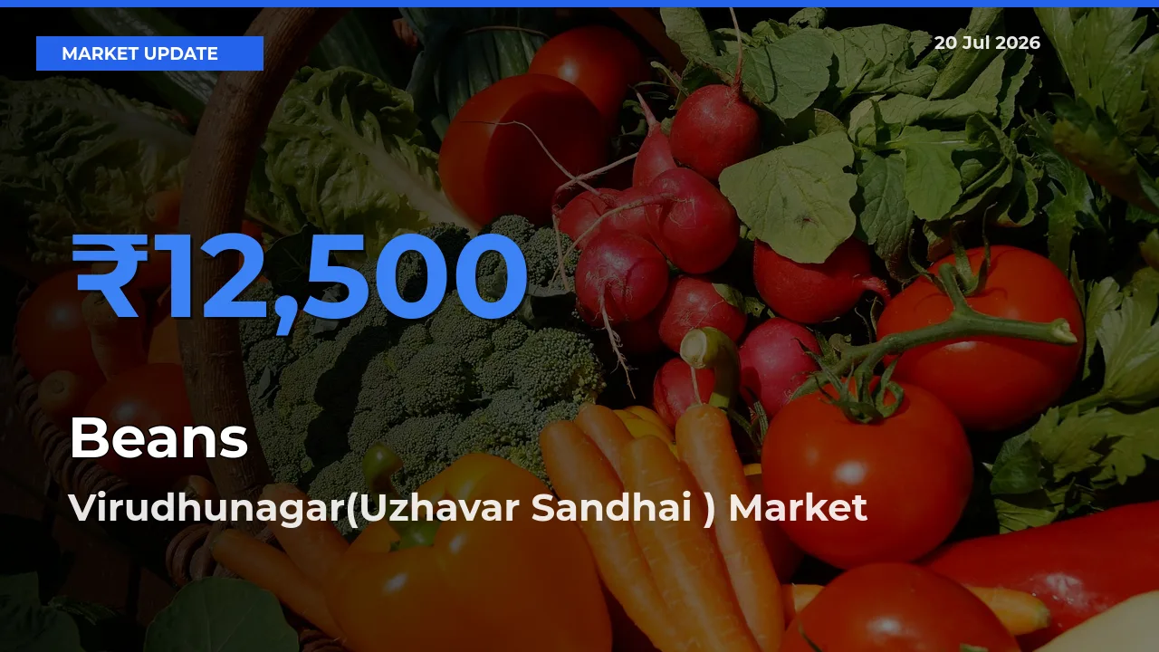 Beans Mandi Rate Today: Virudhunagar(Uzhavar Sandhai ) Tops the List