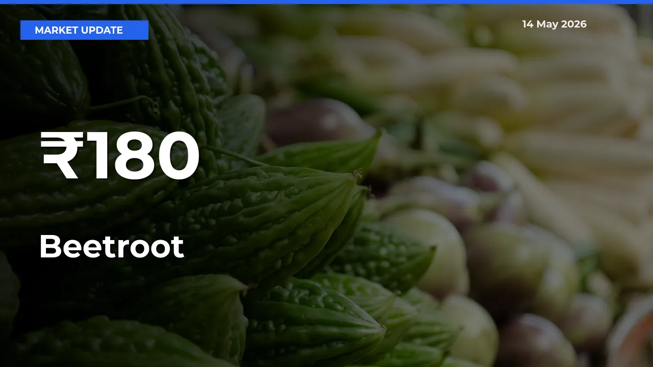 Why Beetroot Prices Are Moving Across Multiple Mandis Today