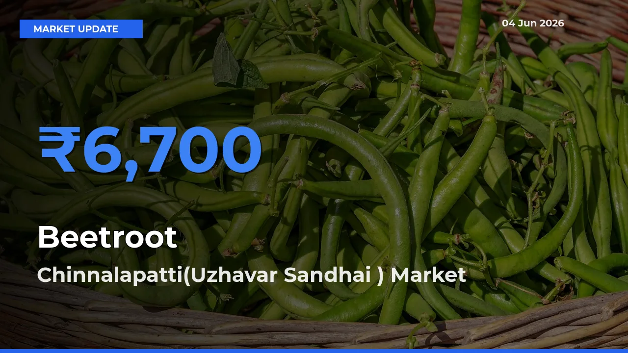Chinnalapatti(Uzhavar Sandhai ) Records Highest ₹6,700 Rate for Beetroot