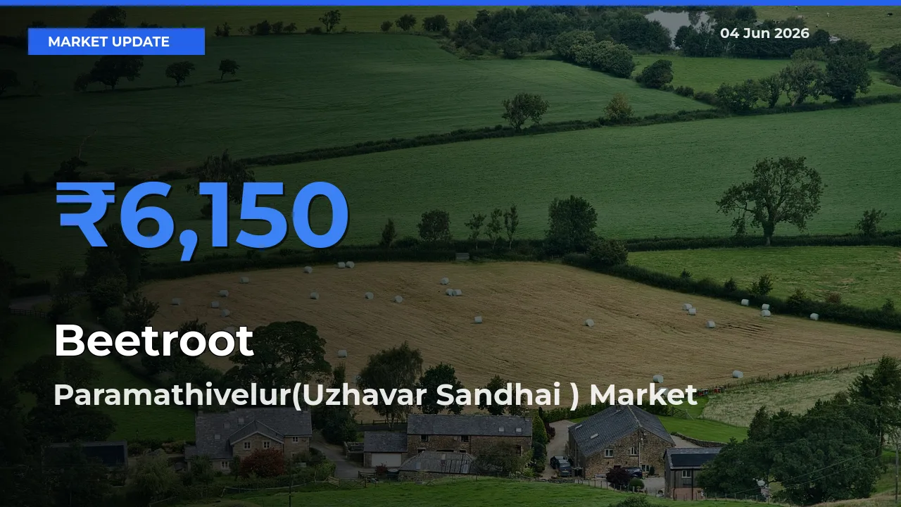 Beetroot Mandi Rate Today: Paramathivelur(Uzhavar Sandhai ) Tops the List
