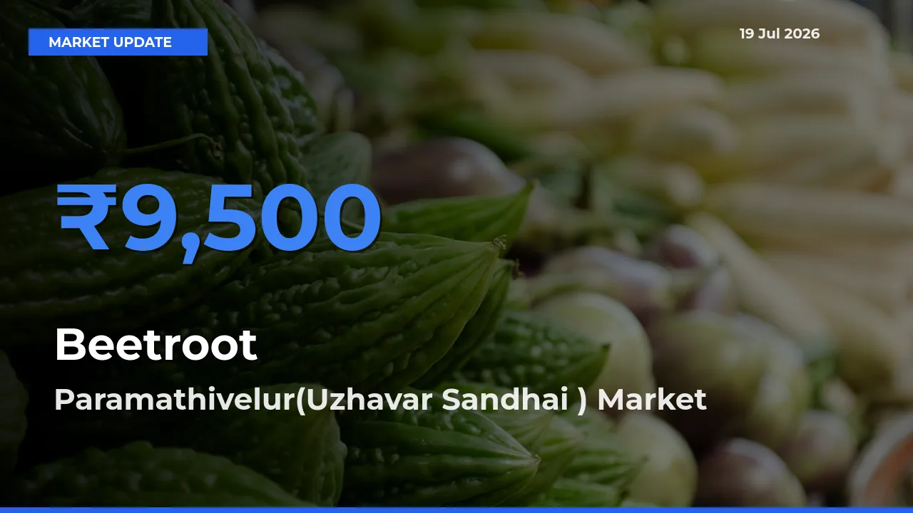 Paramathivelur(Uzhavar Sandhai ) Leads as Top Mandi for Beetroot Prices