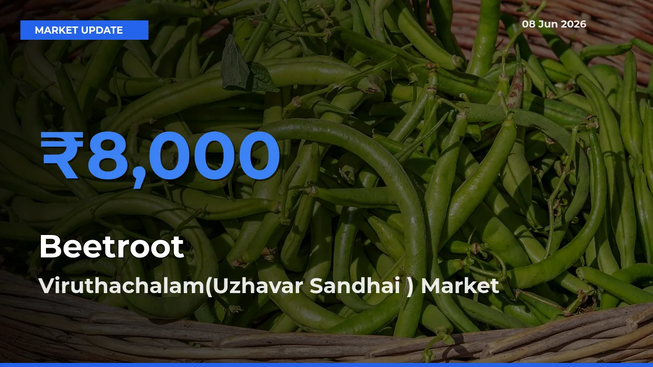 Farmers Prefer Viruthachalam(Uzhavar Sandhai ) as Beetroot Hits Highest Rate